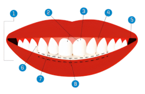 Smile Science