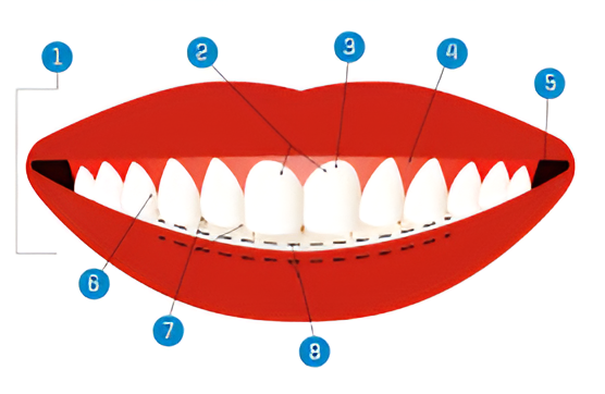 Smile Science
